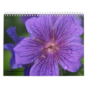 Agenda 2009, foto gemaakt door Stacey Morris Kalender