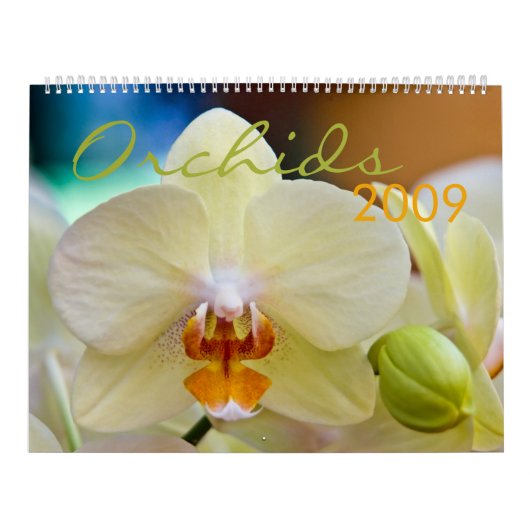 Agenda 2009 kalender (Hoes)