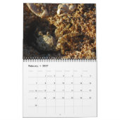 Agenda 2009 kalender (Feb 2027)