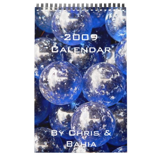 Agenda 2009 kalender (Hoes)
