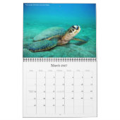 Agenda 2010 Best of DiversOne Underwater Photos Kalender (Mar 2027)