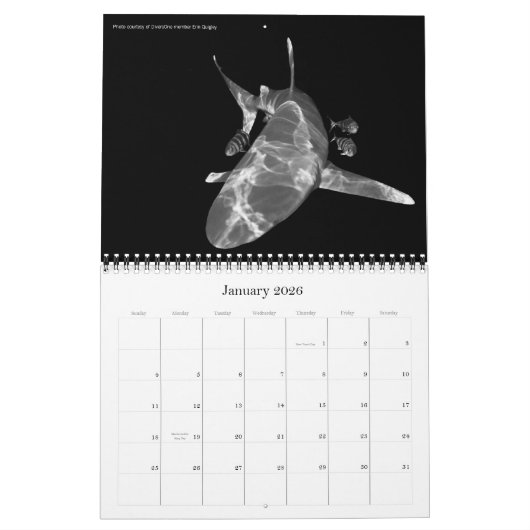 Agenda 2010 Best of DiversOne Underwater Photos Kalender (Jan 2026)