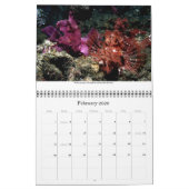 Agenda 2010 Best of DiversOne Underwater Photos Kalender (Feb 2026)