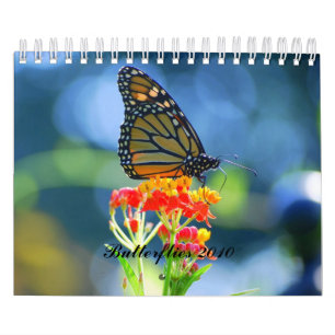 Agenda 2010 kalender