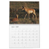 Agenda 2010 kalender (Mar 2027)