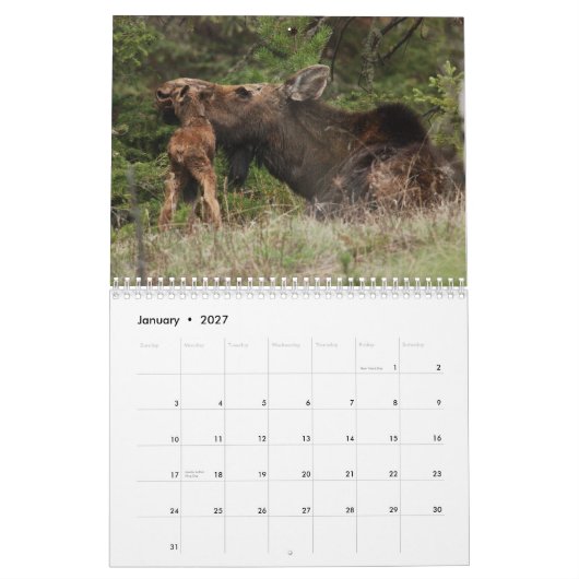 Agenda 2010 kalender (Jan 2027)