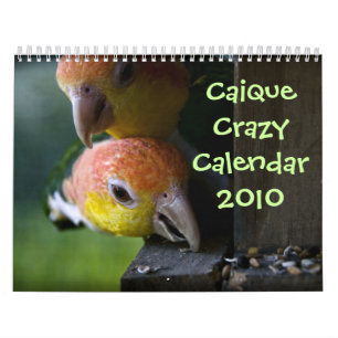 Agenda 2010 kalender