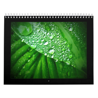 Agenda 2010 kalender