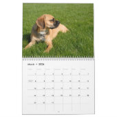 Agenda 2010, Puggles Kalender (Mar 2026)
