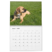 Agenda 2010, Puggles Kalender (Mar 2027)