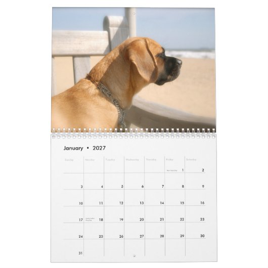 Agenda 2010, Puggles Kalender (Jan 2027)