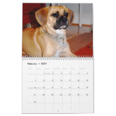 Agenda 2010, Puggles Kalender (Feb 2027)