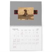 Agenda 2010 van Azawakh Kalender (Feb 2027)