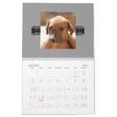 Agenda 2010 van Azawakh Kalender (Jan 2027)