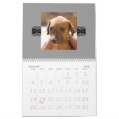 Agenda 2010 van Azawakh Kalender (Jan 2026)