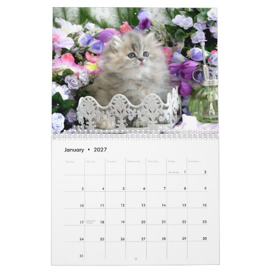 Agenda 2010 van Cozy Kittens - Gepersonaliseerd Kalender (Jan 2027)