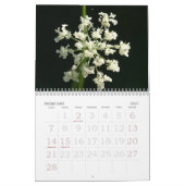 Agenda 2010 van de natuur kalender (Feb 2027)