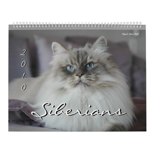 Agenda 2010 voor Siberische katten en Kittens 3 Kalender (Hoes)
