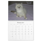 Agenda 2010 voor Siberische katten en Kittens 3 Kalender (Feb 2027)