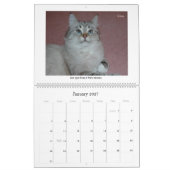Agenda 2010 voor Siberische katten en Kittens 3 Kalender (Jan 2027)
