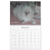 Agenda 2010 voor Siberische katten en Kittens 3 Kalender (Mar 2026)