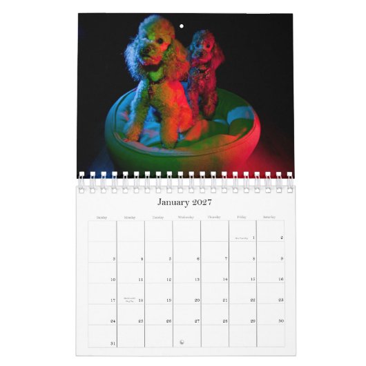 Agenda 2010 voor Speelgoed Kalender (Jan 2027)