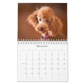 Agenda 2010 voor Speelgoed Kalender (Mar 2027)