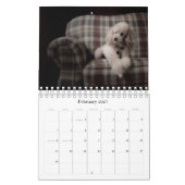Agenda 2010 voor Speelgoed Kalender (Feb 2027)