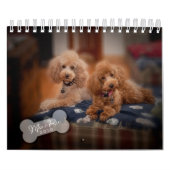 Agenda 2010 voor Speelgoed Kalender (Hoes)