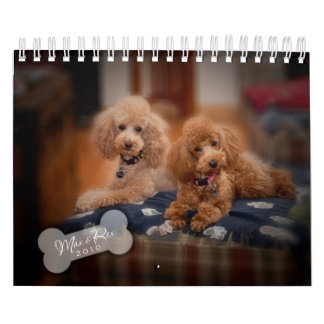 Agenda 2010 voor Speelgoed Kalender