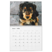 Agenda 2011 Airedale Terrier Kalender (Mar 2026)