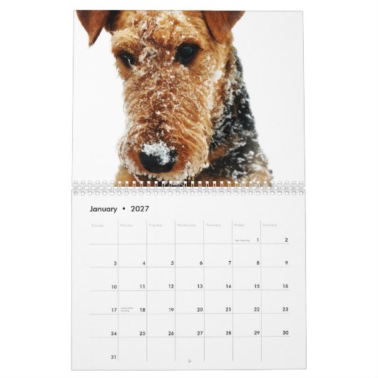 Agenda 2011 Airedale Terrier Kalender (Jan 2027)