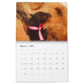 Agenda 2011 Airedale Terrier Kalender (Feb 2027)