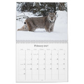 Agenda 2011 kalender (Feb 2027)