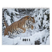 Agenda 2011 kalender (Hoes)