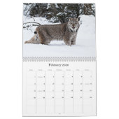 Agenda 2011 kalender (Feb 2026)