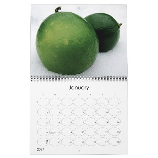 Agenda 2011 kalender (Jan 2027)