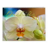 Agenda 2011 kalender (Hoes)