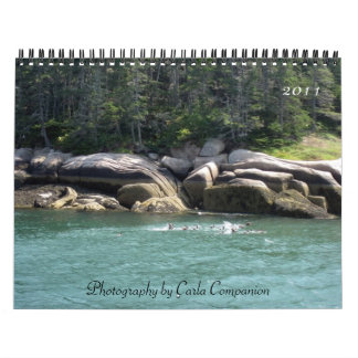 Agenda 2011 kalender