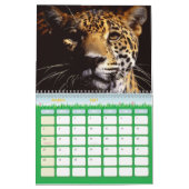 Agenda 2011-luipaarden kalender (Mar 2027)