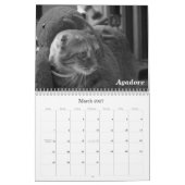 Agenda 2011 Pet: Katten en honden Kalender (Mar 2027)