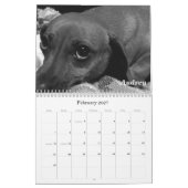 Agenda 2011 Pet: Katten en honden Kalender (Feb 2027)