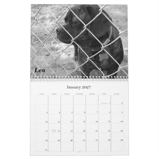 Agenda 2011 Pet: Katten en honden Kalender (Jan 2027)