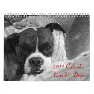 Agenda 2011 Pet: Katten en honden Kalender