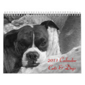 Agenda 2011 Pet: Katten en honden Kalender (Hoes)