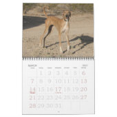 Agenda 2011 van Azawakh Kalender (Mar 2027)