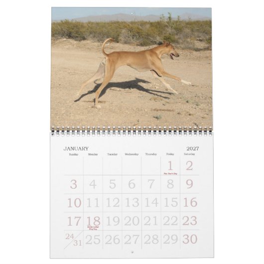 Agenda 2011 van Azawakh Kalender (Jan 2027)