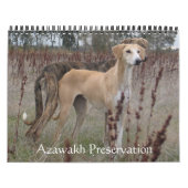 Agenda 2011 van Azawakh Kalender (Hoes)