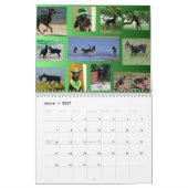 Agenda 2011 van Dobedience Kalender (Mar 2027)