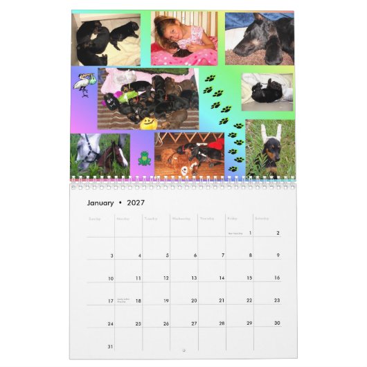 Agenda 2011 van Dobedience Kalender (Jan 2027)